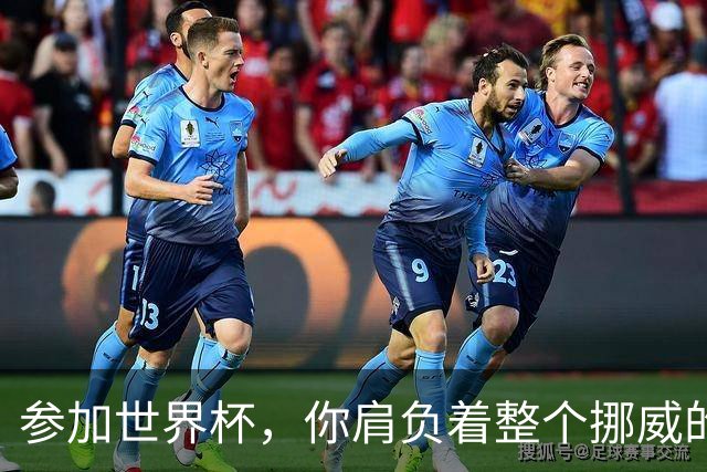 参加世界杯，你肩负着整个挪威的期望！哈兰德：我喜欢这样